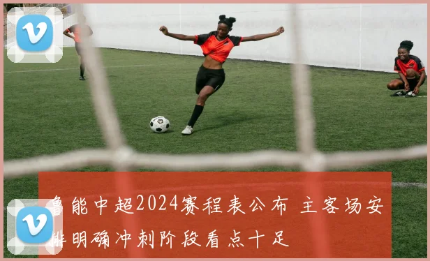 鲁能中超2024赛程表公布 主客场安排明确冲刺阶段看点十足