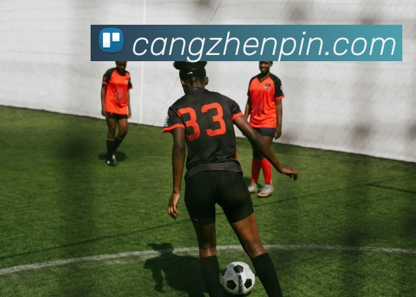 投注app官网APP 封面图