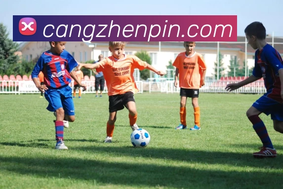 数据防护可视化